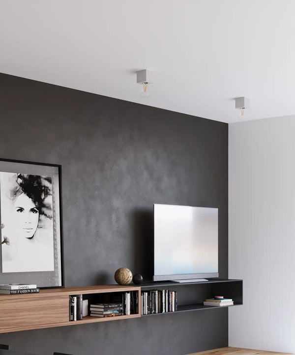 ARIZ Concrete Ceiling Light