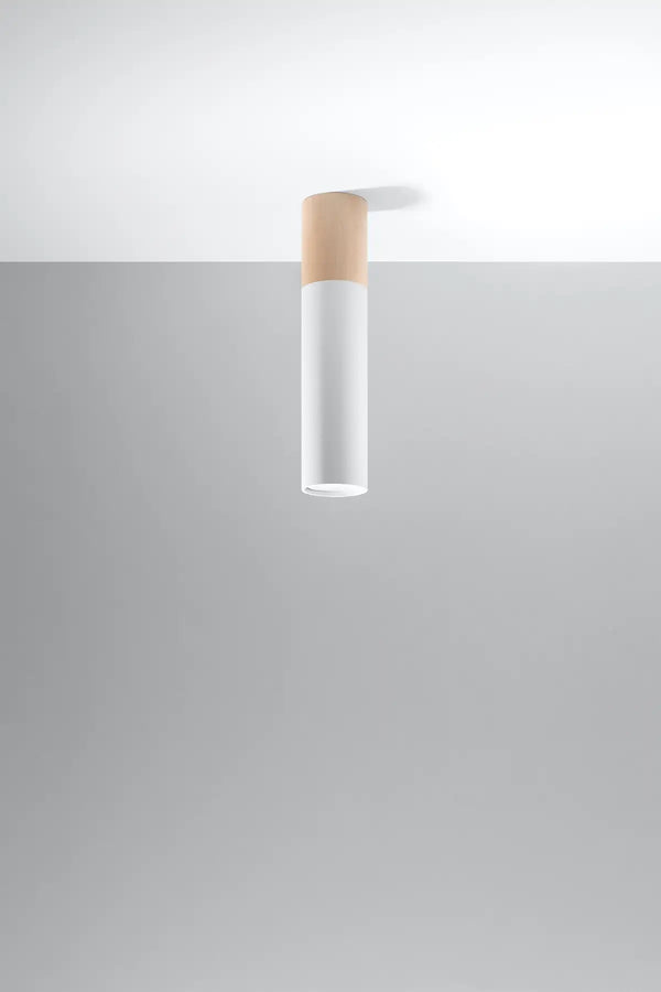 PABLO Ceiling Light